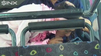 Pigtailed Cutie Sucks Cock On A Public Bus Screencap 27 on www.sinx.com
