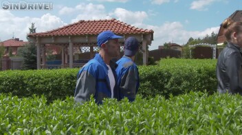 Plumbers Get A Taste Of Alexa Candy As They Plug Up Her Ass Pipe And Pound Her Mega Tits Screencap 10 on www.sinx.com