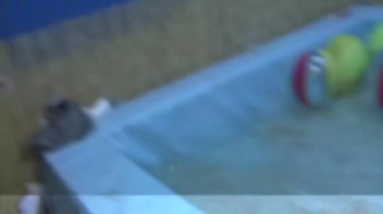 Party Hardcore Vol. 55 Part 6 - Cam 1 Screencap 26 on www.sinx.com