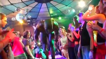 Party Hardcore Vol. 25 Part 3 Screencap 52 on www.sinx.com