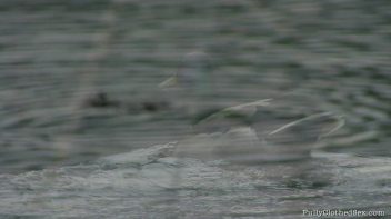 The Replacement Menu Screencap 1 on www.sinx.com