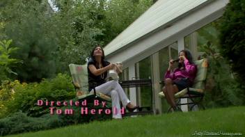 Chillout Fever Screencap 5 on www.sinx.com