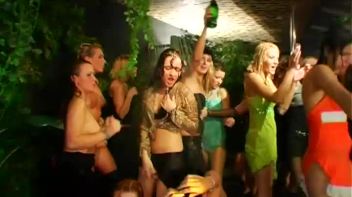 Jungle Bangers Part 5 - Main Edit Screencap 103 on www.sinx.com