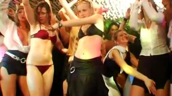 Jungle Bangers Part 5 - Main Edit Screencap 111 on www.sinx.com