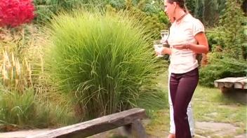 The Cock and Piss Whip-out Screencap 1 on www.sinx.com