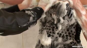 Fully Clothed Wetlook Shower Bunnies Screencap 58 on www.sinx.com