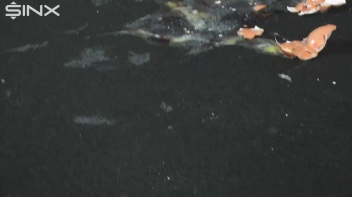 Egg Trampling Leaves Babes With Messy Heels Screencap 31 on www.sinx.com