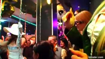 Swingers Ball Part 1 - Cam 2 Screencap 13 on www.sinx.com