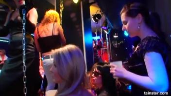 Swingers Ball Part 1 - Cam 2 Screencap 53 on www.sinx.com