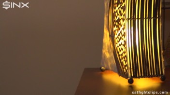 Babes Settle Their Argument In The Bed Screencap 53 on www.sinx.com