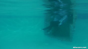 Satin And Fur Wetlook Bunnies Screencap 68 on www.sinx.com