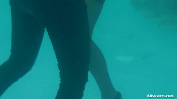 Satin And Fur Wetlook Bunnies Screencap 78 on www.sinx.com