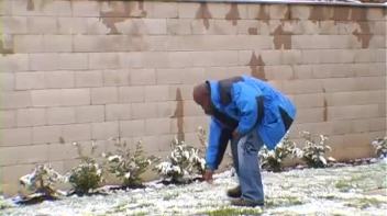 Let Your Boner Do the Talking! Screencap 5 on www.sinx.com