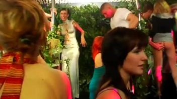 Jungle Bangers Part 1 - Cam 1 Screencap 38 on www.sinx.com