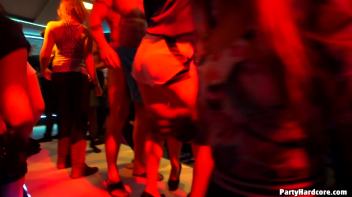 Party Hardcore Gone Crazy Vol. 14 Part 6 - Main Edit Screencap 67 on www.sinx.com