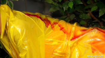 The Gooiest Glamor Babes Ever Screencap 40 on www.sinx.com