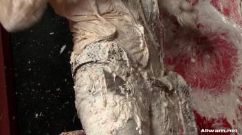 Big Tit WaM Domination Screencap 80 on www.sinx.com