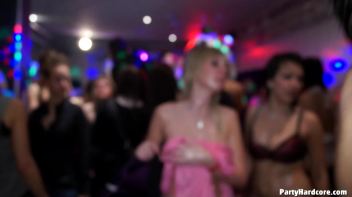 Party Hardcore Vol. 69 Special Ed. - Hustling Hotties Screencap 81 on www.sinx.com