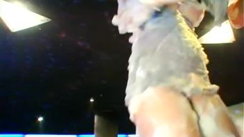 Bangstas Paradise Part 5 - Cam 2 Screencap 48 on www.sinx.com