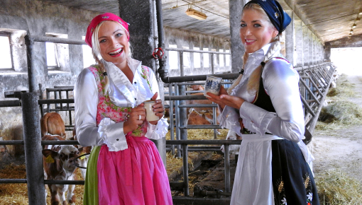 Latest deal - Sexy milkmaids get messy with cream and eggs - Cam 2