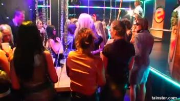 Swingers Ball Part 1 - Main Edit Screencap 4 on www.sinx.com