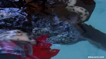 Glamor Chicks Take a Step Over The Edge Screencap 25 on www.sinx.com