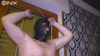 Der neue Putzsklave Screencap 40 on www.sinx.com