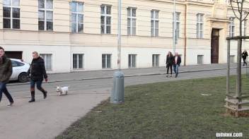 Picking Up Their Afternoon Bi-Fuck Screencap 1 on www.sinx.com