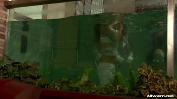 Glamorous Pool Babes Screencap 78 on www.sinx.com