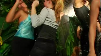 Jungle Bangers Part 2 - Main Edit Screencap 47 on www.sinx.com