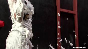 Eurobabe Creampies Screencap 70 on www.sinx.com