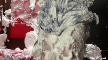 Eurobabe Creampies Screencap 77 on www.sinx.com