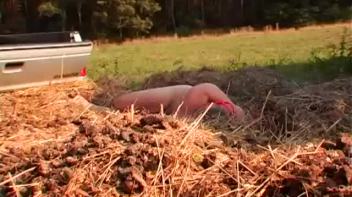 Collection Agents Are Out For More Than Just Money... Screencap 107 on www.sinx.com