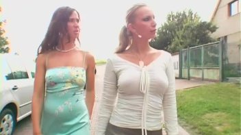 Going for it Like Rabbits! Screencap 2 on www.sinx.com