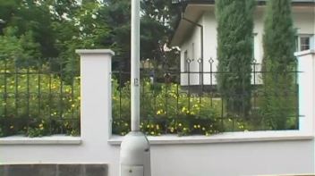 Going for it Like Rabbits! Screencap 3 on www.sinx.com