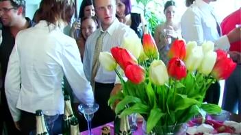 Wedding Celebration Part 2 - Cam 1 Screencap 7 on www.sinx.com