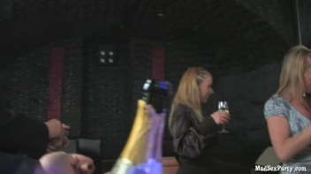 The V.I.P. Room P1 Screencap 5 on www.sinx.com