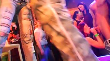 Party Hardcore Vol. 24 Part 2 Screencap 24 on www.sinx.com