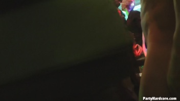 Party Hardcore Gone Crazy Vol. 31 Part 4 - Main Edit Screencap 60 on www.sinx.com