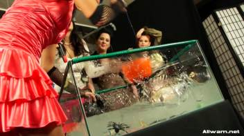 Eurobabe Splash Contest Screencap 37 on www.sinx.com