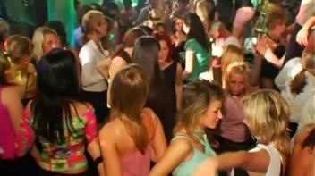 Jungle Bangers Part 2 - Cam 2 Screencap 3 on www.sinx.com