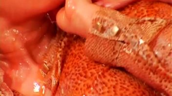 Prague Juice-Off! Screencap 65 on www.sinx.com