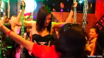 Swingers Ball Part 1 - Cam 1 Screencap 14 on www.sinx.com