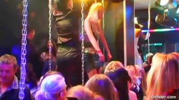 Swingers Ball Part 1 - Cam 1 Screencap 28 on www.sinx.com