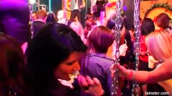 Swingers Ball Part 1 - Cam 1 Screencap 43 on www.sinx.com