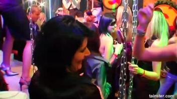 Swingers Ball Part 1 - Cam 1 Screencap 44 on www.sinx.com