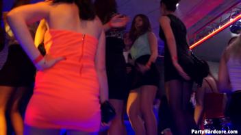 Party Hardcore Gone Crazy Vol. 3 Part 4 Screencap 53 on www.sinx.com