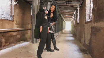 Den Schwanz groß gepumpt Screencap 34 on www.sinx.com