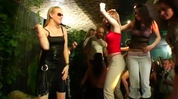 Jungle Bangers Part 1 - Main Edit Screencap 52 on www.sinx.com