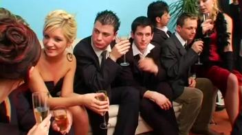 V.I.P. Bisex Orgy Party Begins Screencap 37 on www.sinx.com